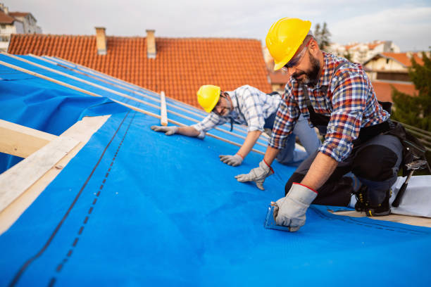 Best Roof Gutter Cleaning  in Gillette, WY